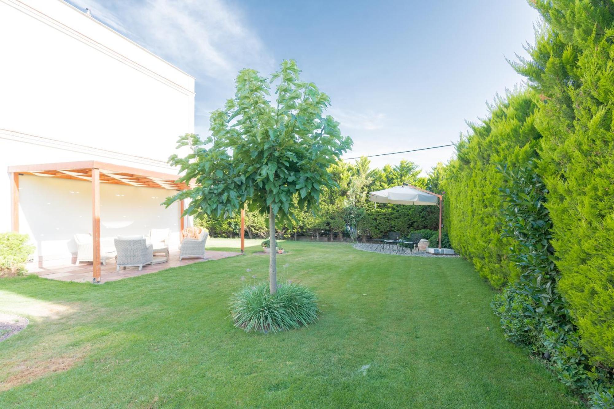 Elia Hotel Cunda By Ortunc ไอวาลิค ภายนอก รูปภาพ